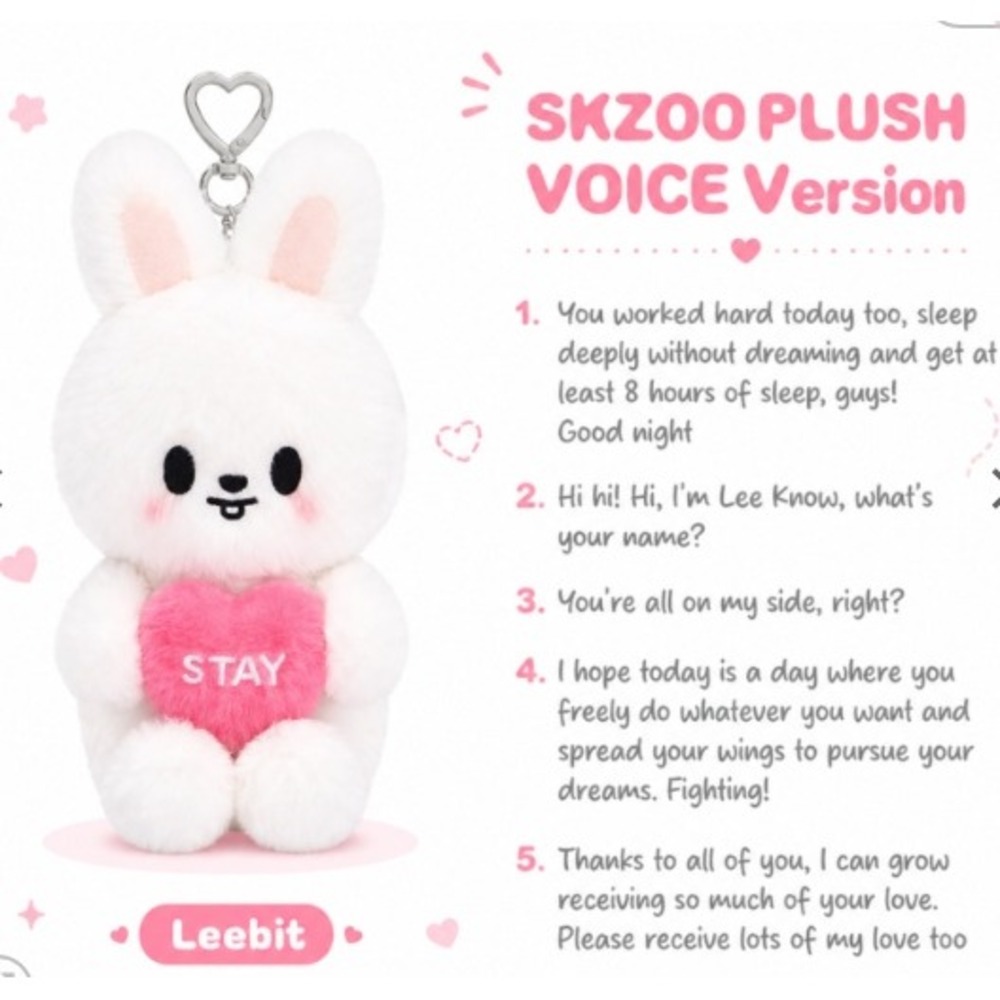 STRAY KIDS LEEBIT Leeknow 6th Fan Meeting Voice Version